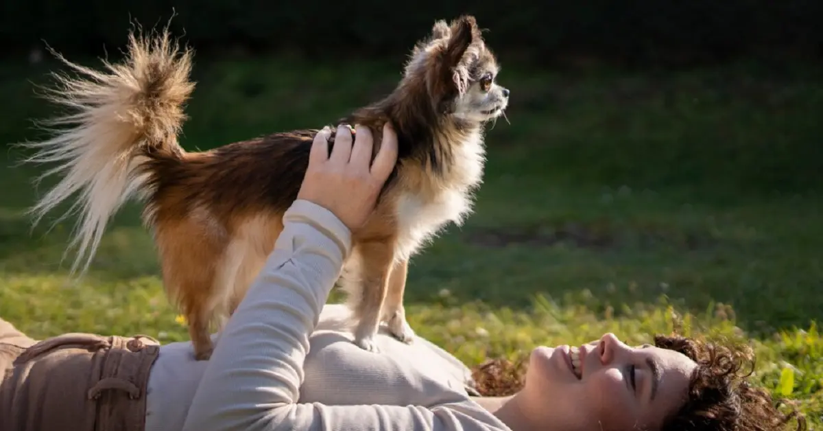 From Fur to Tail: Nurturing Your Pet’s Overall Health and Happiness