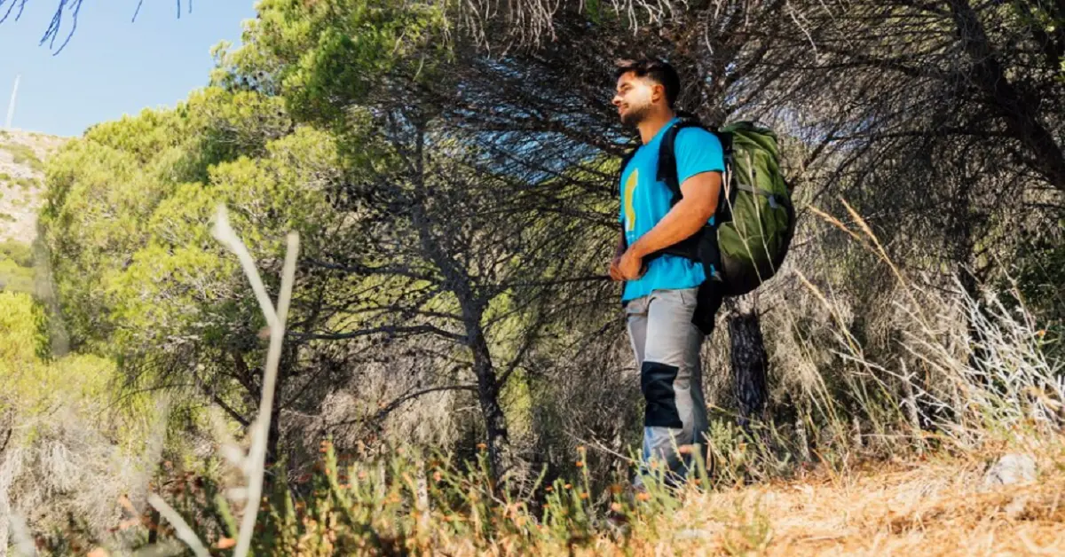 Exploring the Beauty of Arrábida Nature Park: A Local-Guided Hiking Experience